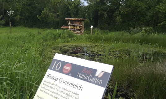 Das Feuchtbiotop im NABU Schaugarten