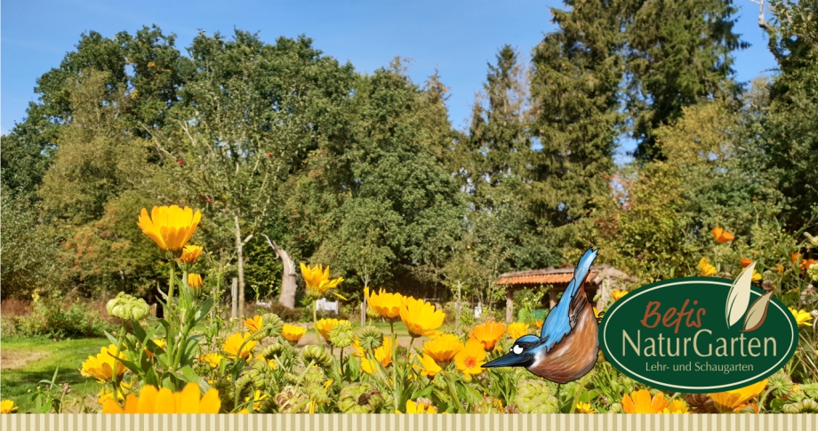 Befis Naturgarten - Lehr- und Schaugarten - Dreschflegel e.V.